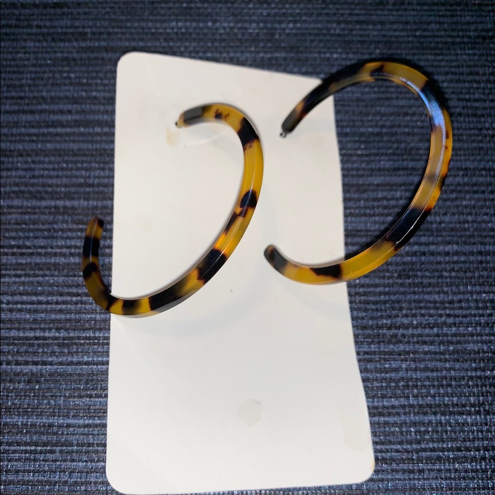 Tortoise Hoops